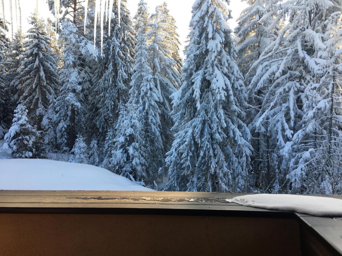 Borovets Chalets Dış mekan fotoğraf